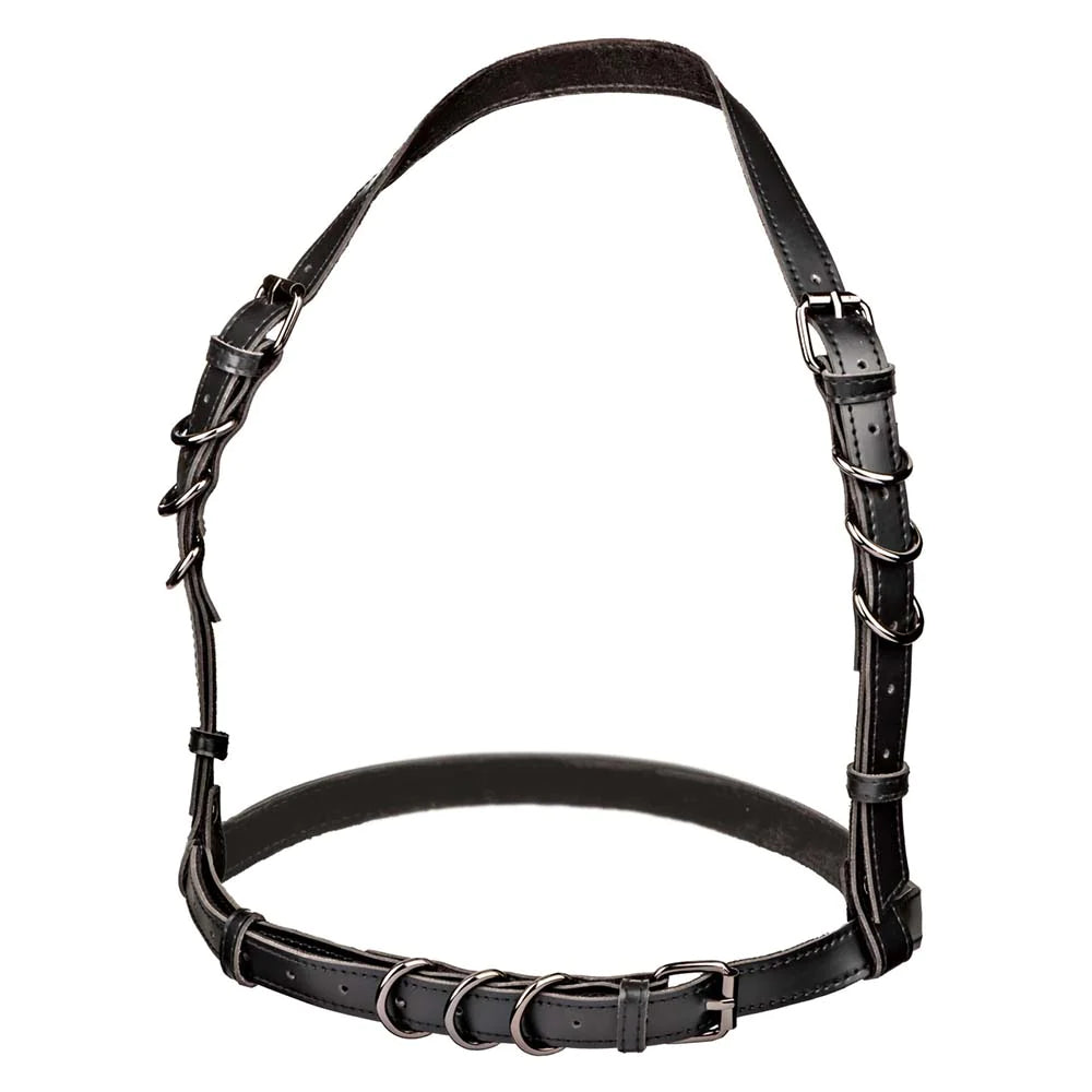 Euphoria Halter Buckle Harness in OSXL